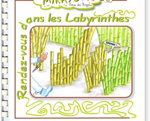 12 Labyrinthes